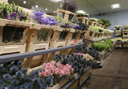 Longacres Bagshot fresh cut flower shop