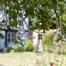 Smart Garden Eureka! Lightbulb Lantern (1080920) Alternative Image
