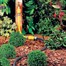 Hozelock 25m Soaker Hose (6764) Alternative Image