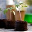 Gardman Peat Free Compost Discs - 50 (08636) Alternative Image