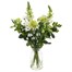 Green and White Letter Box Flowers Alternative Image