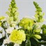 Green and White Letter Box Flowers Alternative Image