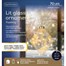 Kaemingk 16cm Clear Diamond LED Light Up Hanging Christmas Ornament (9480054) Alternative Image