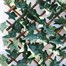 Mercer 100 x 200cm Ivy Leaf Willow Garden Trellis (YOJ-777) Alternative Image