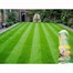 Viano MO Bacter Organic Lawn Fertiliser and Moss Killer 20kg Alternative Image