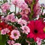 Pink and Lilac Letter Box Flowers Alternative Image
