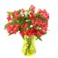 Red Alstromeria Letter Box Flowers  Alternative Image
