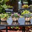 Smart Garden Basket Bouquet - Blue (5040055) Alternative Image