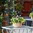 Smart Garden Basket Bouquet - Yellow (5040055) Alternative Image