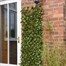 Smart Garden Lemon Leaf Willow Artificial Trellis Screening 180 x 60 cm (5045082) Alternative Image