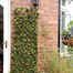 Smart Garden Lemon Leaf Willow Artificial Trellis Screening 180 x 60 cm (5045082) Alternative Image