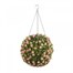 Smart Garden Pink Rose Topiary Ball (5040041) Alternative Image
