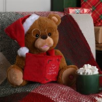 Festive 26cm Animated Christmas Story Bear With Book (P058865)