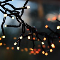 Portland Fir 1000 RGB Smart App Controlled LED Cluster Christmas String Lights (LIT005)