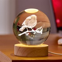 Premier 10cm 3D Robin Light Up Christmas Etched Glass Ball (UB261649)