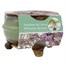 Bee Friends Nuture & Grow Wisteria Bonsai Grow Set (151186)