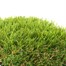 Easigrass Long Pile Artifical Grass Roll 2m x 4m (EASI2X4)