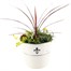Milk Barrel Seasonal Bedding Planted Container 12 Inches - Summer