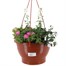 Mixed Variety 25cm Seasonal Hanging Pot Bedding Basket - Summer