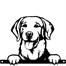 Primus Metal Labrador Retriever Peeking Dog Garden Decor Silhouette (PF1013)